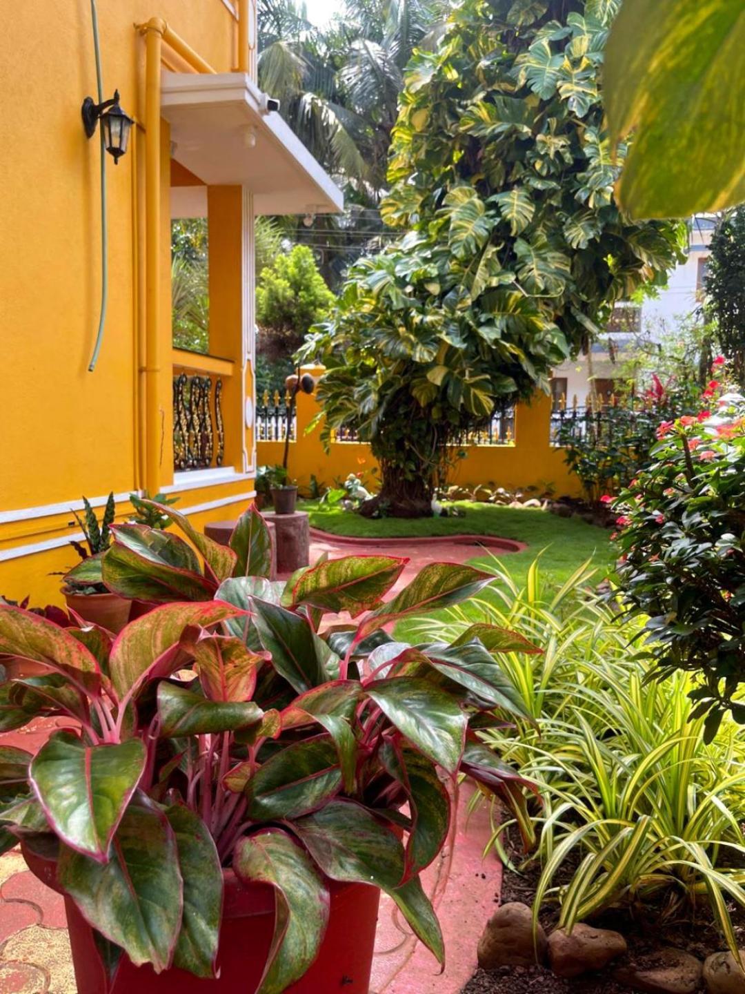Minria Guest House Benaulim Ngoại thất bức ảnh